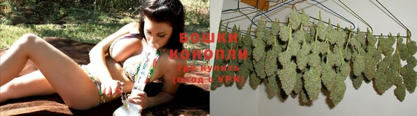ГАЛЛЮЦИНОГЕННЫЕ ГРИБЫ Беломорск