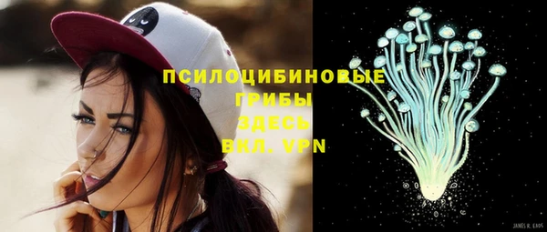 прущие грибы Белоозёрский
