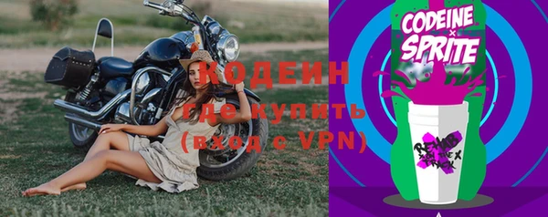 прущие грибы Белоозёрский