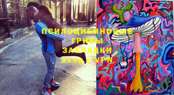 ГАЛЛЮЦИНОГЕННЫЕ ГРИБЫ Беломорск